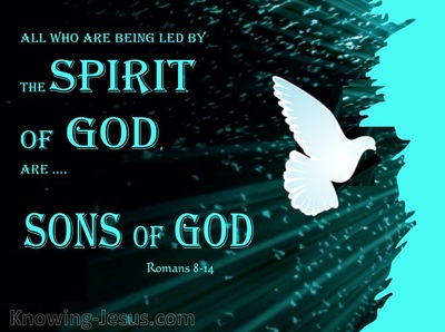 Romans 8:14 Those Led By The Spirit Are Sons Of God (white)
